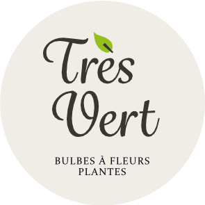 Très Vert Bulbes à Fleurs logo